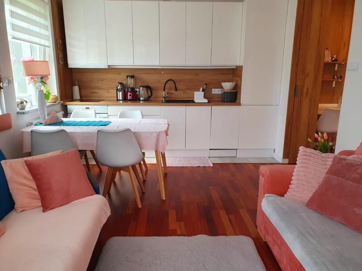 Apartament Comfort I קולובז'ג מראה חיצוני תמונה