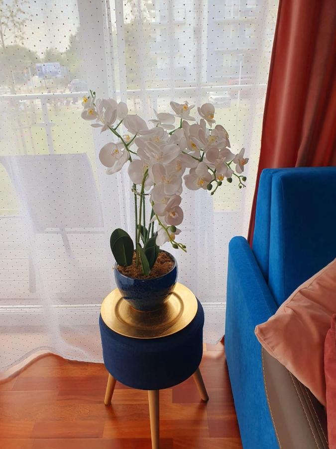 Apartament Comfort I קולובז'ג מראה חיצוני תמונה