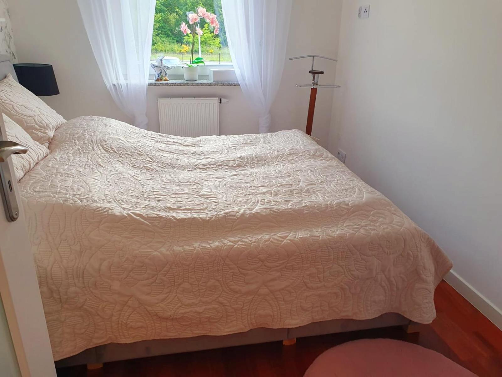 Apartament Comfort I קולובז'ג מראה חיצוני תמונה