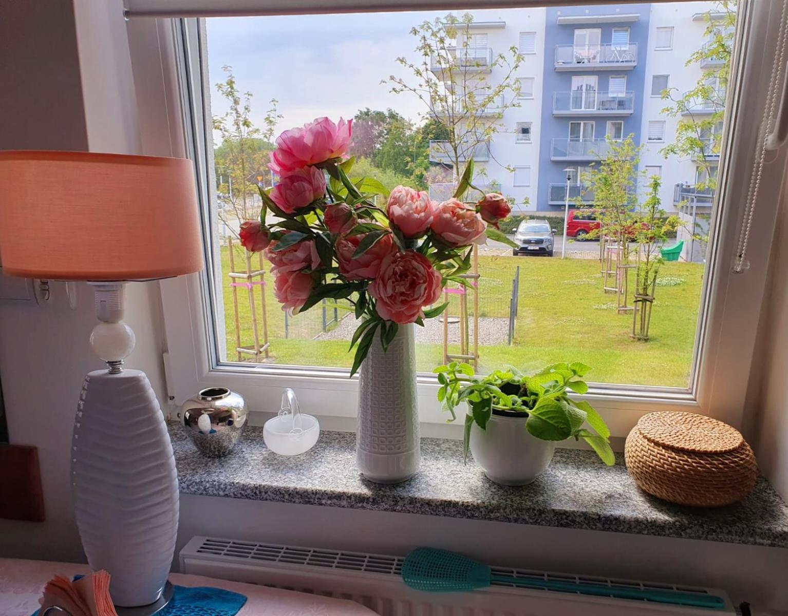 Apartament Comfort I קולובז'ג מראה חיצוני תמונה